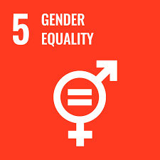 Systemic Change for Gender Equality: The Basics
